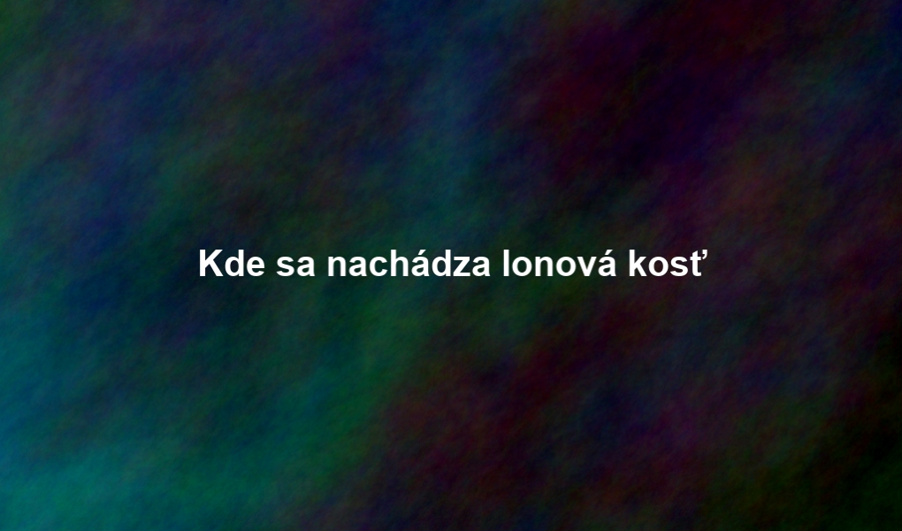 Kde sa nachádza lonová kosť