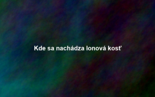Kde sa nachádza lonová kosť