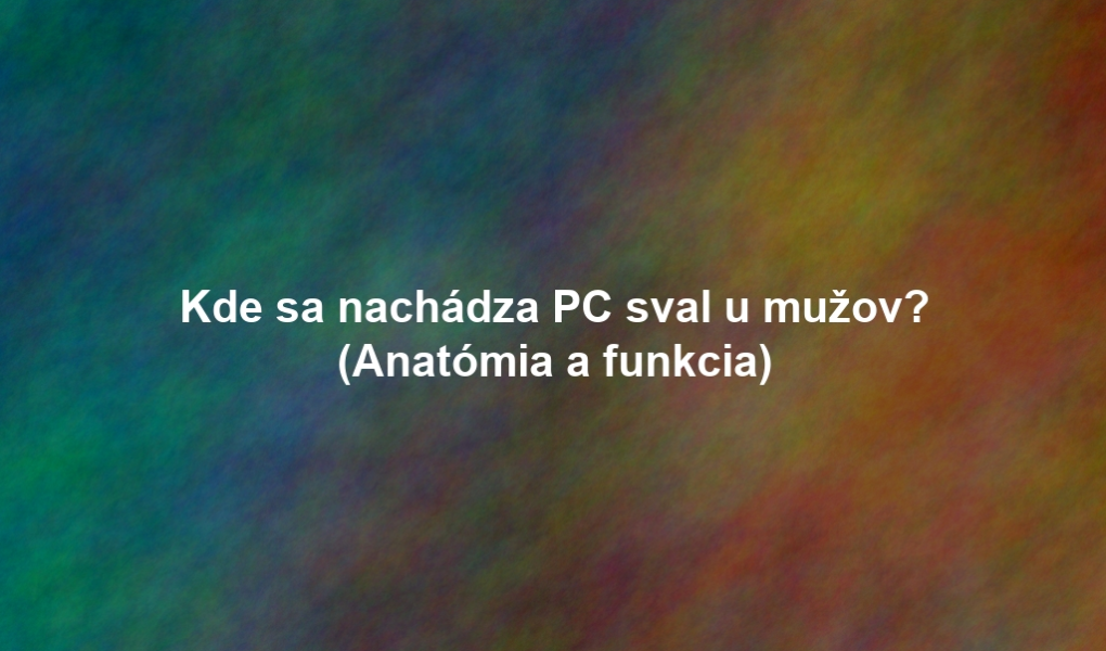 Kde sa nachádza PC sval u mužov? (Anatómia a funkcia)