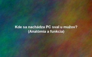 Kde sa nachádza PC sval u mužov? (Anatómia a funkcia)