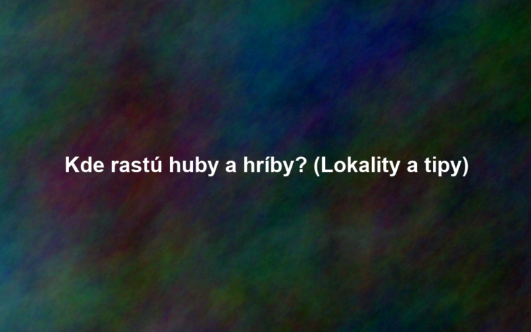Kde rastú huby a hríby? (Lokality a tipy)