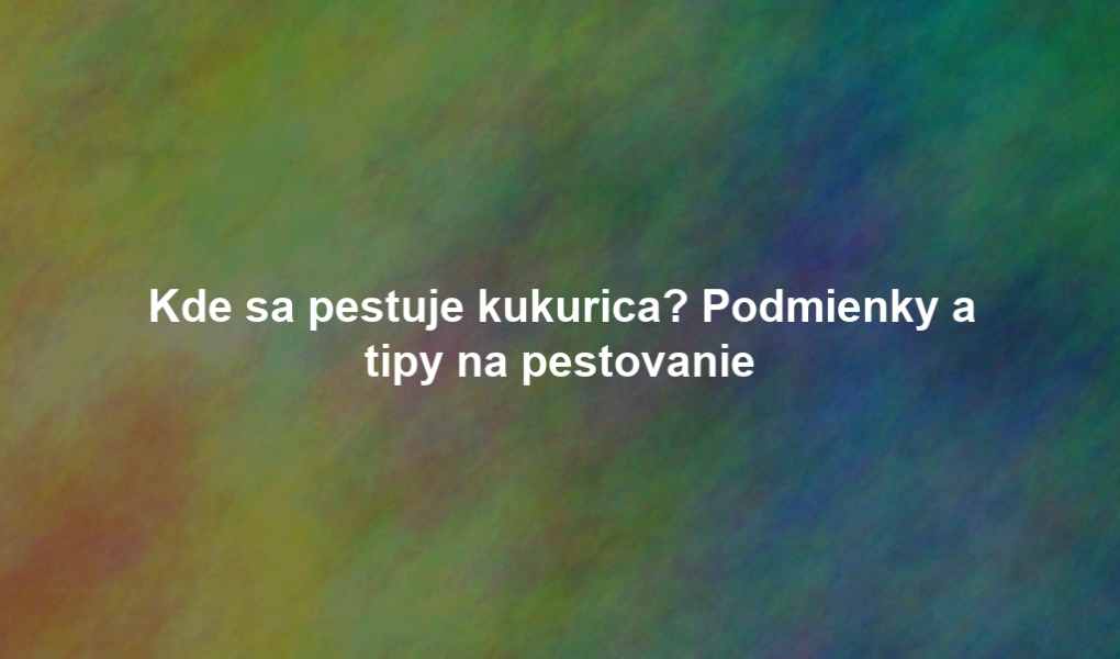 Kde sa pestuje kukurica? Podmienky a tipy na pestovanie