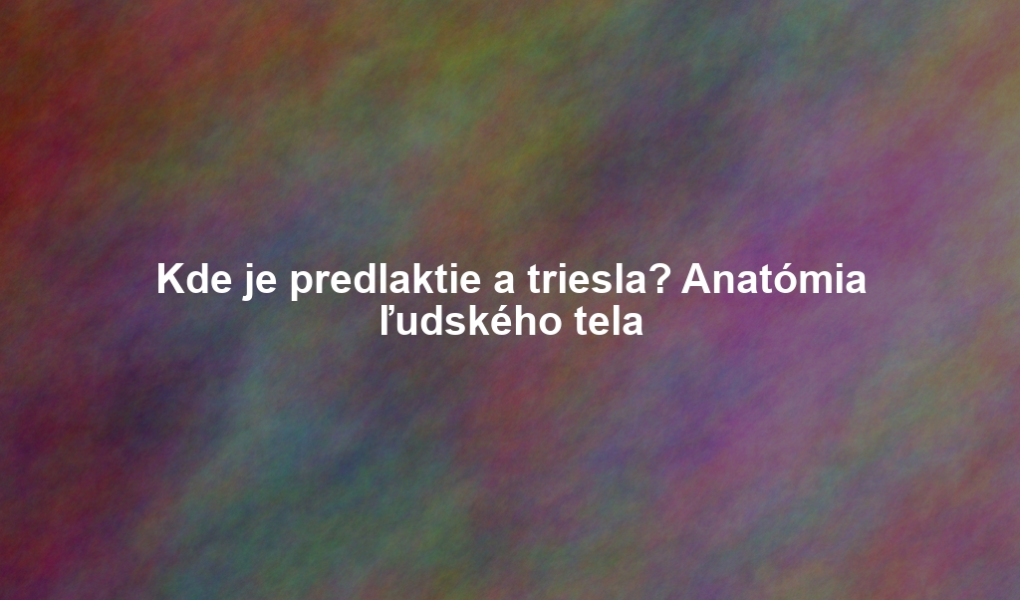 Kde je predlaktie a triesla? Anatómia ľudského tela