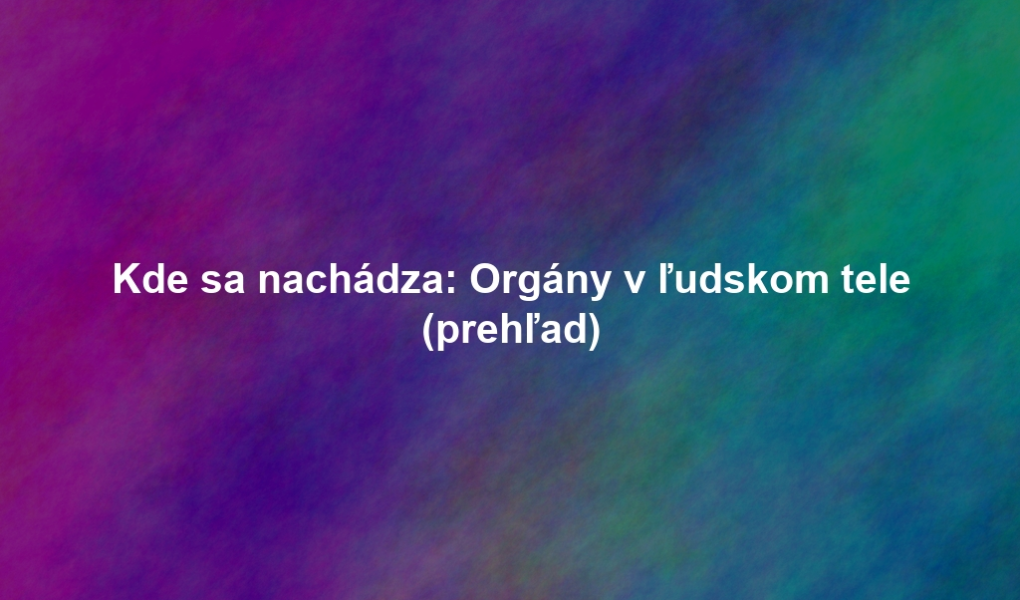 Kde sa nachádza: Orgány v ľudskom tele (prehľad)