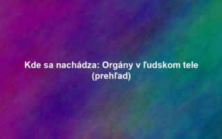 Kde sa nachádza: Orgány v ľudskom tele (prehľad)