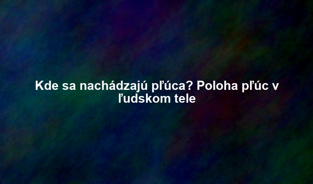 Kde sa nachádzajú pľúca? Poloha pľúc v ľudskom tele