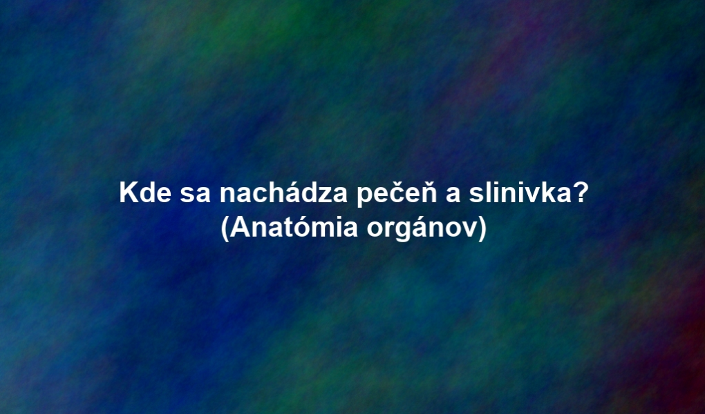 Kde sa nachádza pečeň a slinivka? (Anatómia orgánov)