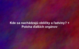 Kde sa nachádzajú obličky a ľadviny? + Poloha ďalších orgánov