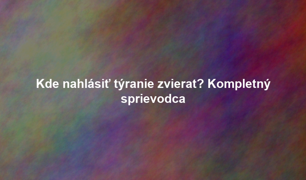 Kde nahlásiť týranie zvierat? Kompletný sprievodca