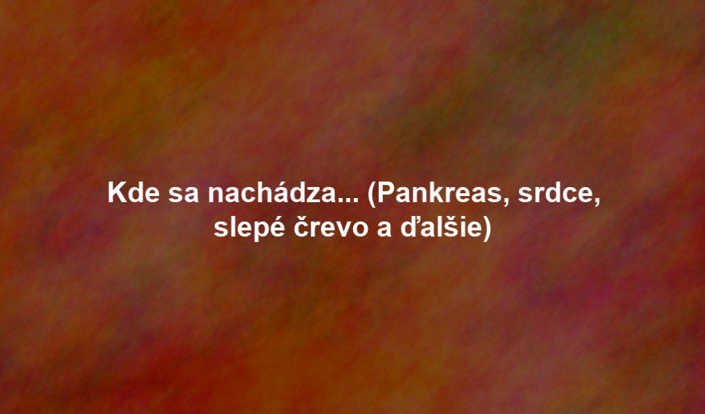 Kde sa nachádza... (Pankreas, srdce, slepé črevo a ďalšie)