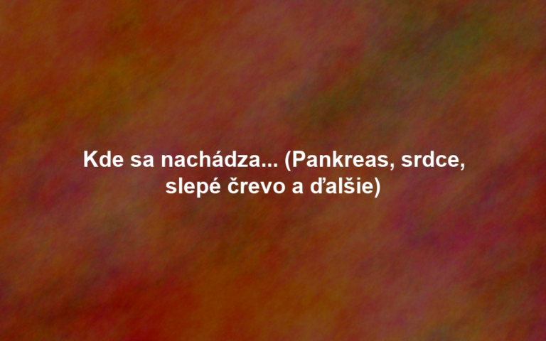 Kde sa nachádza... (Pankreas, srdce, slepé črevo a ďalšie)