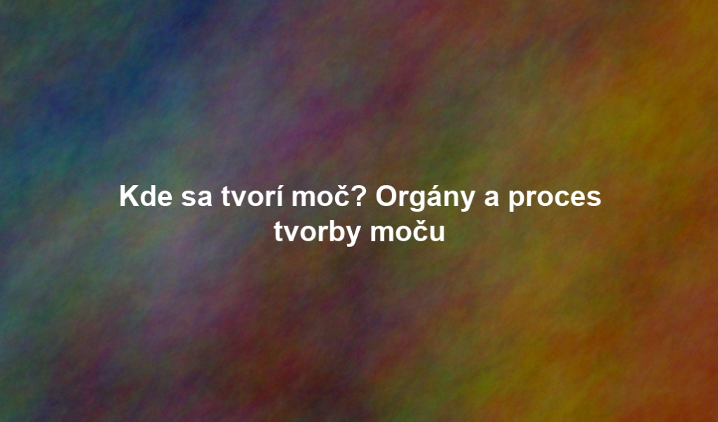 Kde sa tvorí moč? Orgány a proces tvorby moču