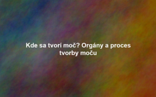 Kde sa tvorí moč? Orgány a proces tvorby moču