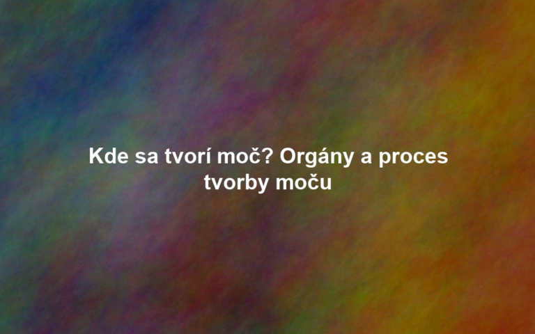 Kde sa tvorí moč? Orgány a proces tvorby moču