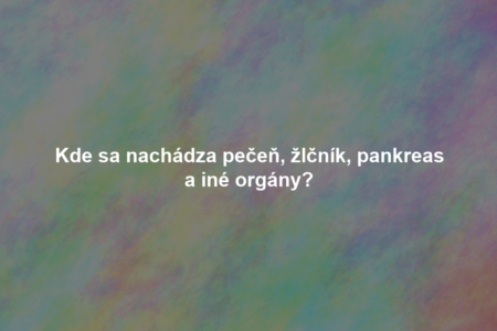 Kde sa nachádza pečeň, žlčník, pankreas a iné orgány?