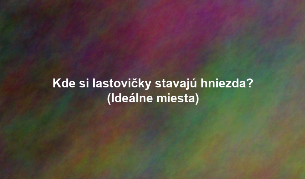 Kde si lastovičky stavajú hniezda? (Ideálne miesta)