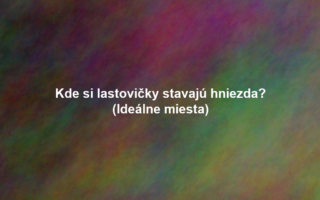 Kde si lastovičky stavajú hniezda? (Ideálne miesta)