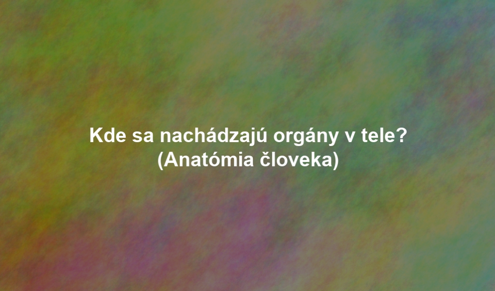 Kde sa nachádzajú orgány v tele? (Anatómia človeka)