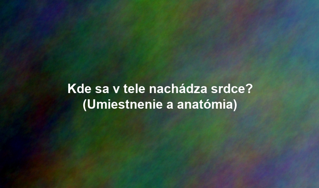 Kde sa v tele nachádza srdce? (Umiestnenie a anatómia)