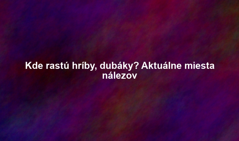 Kde rastú hríby, dubáky? Aktuálne miesta nálezov