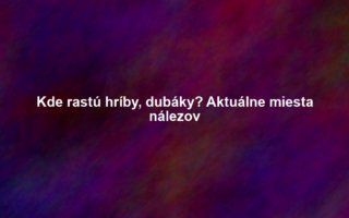 Kde rastú hríby, dubáky? Aktuálne miesta nálezov