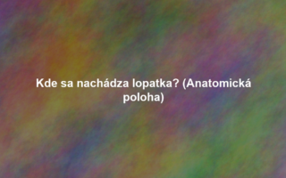Kde sa nachádza lopatka? (Anatomická poloha)