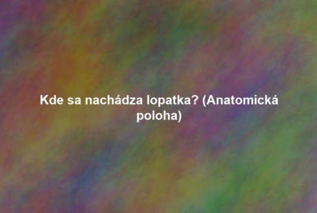 Kde sa nachádza lopatka? (Anatomická poloha)